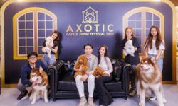 Xotic Cafe & Farm ทุ่มงบ 20 ล้านบาท เปิดตัวฟาร์มสุนัข “โกลเด้นดูเดิ้ล”