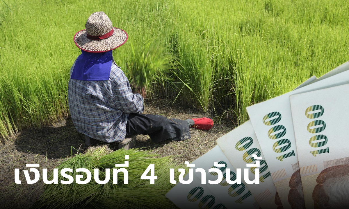 Distributing assistance money to farmers, 1,000 baht per rai, 4th installment, transferred into the account today.