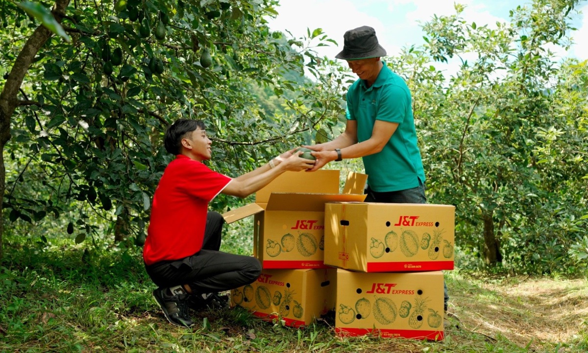 J&T Fruit Parcels เติมความสุข สร้างรอยยิ้มแก่เกษตรกร จังหวัดเชียงใหม่