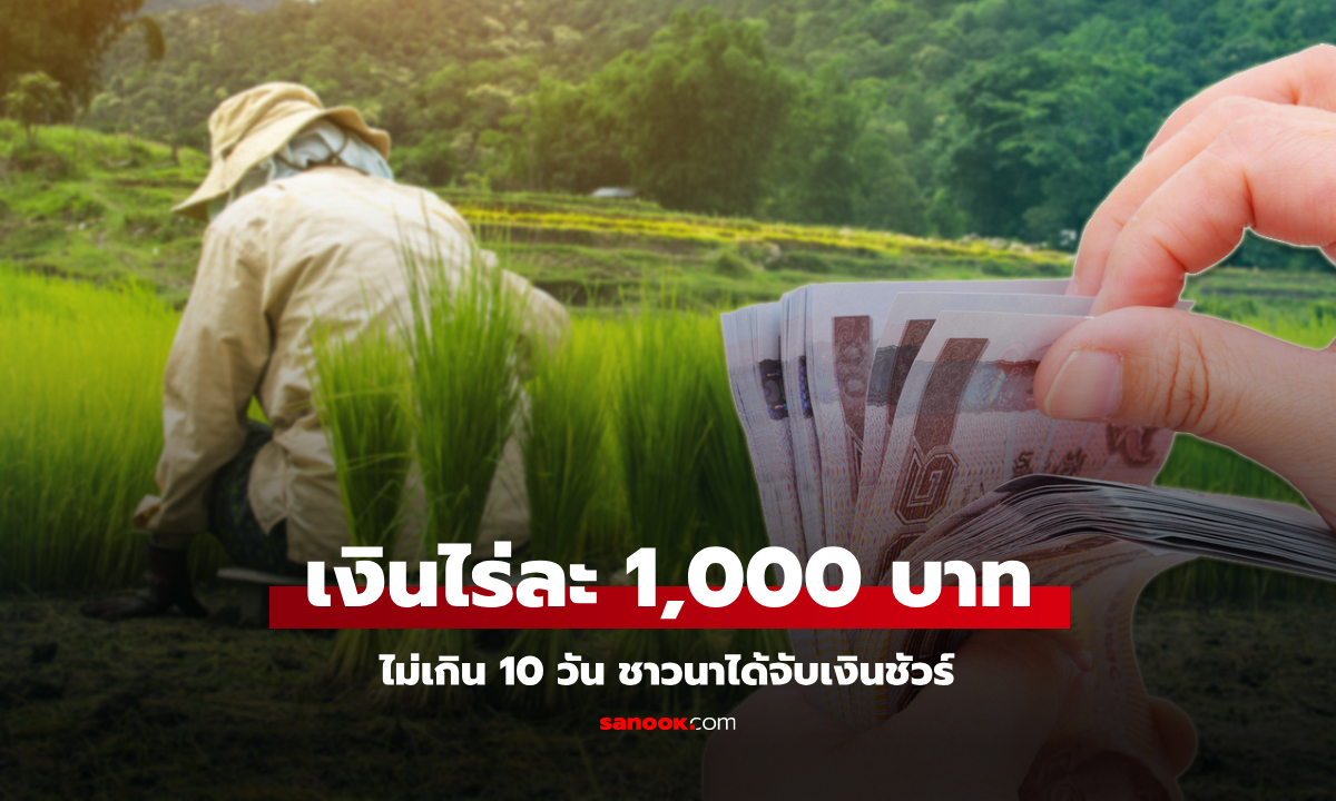 ครม. เคาะแจกเงินชาวนาไร่ละ 1,000 บาท ไม่เกิน 10 วันทำการได้เงินแน่นอน