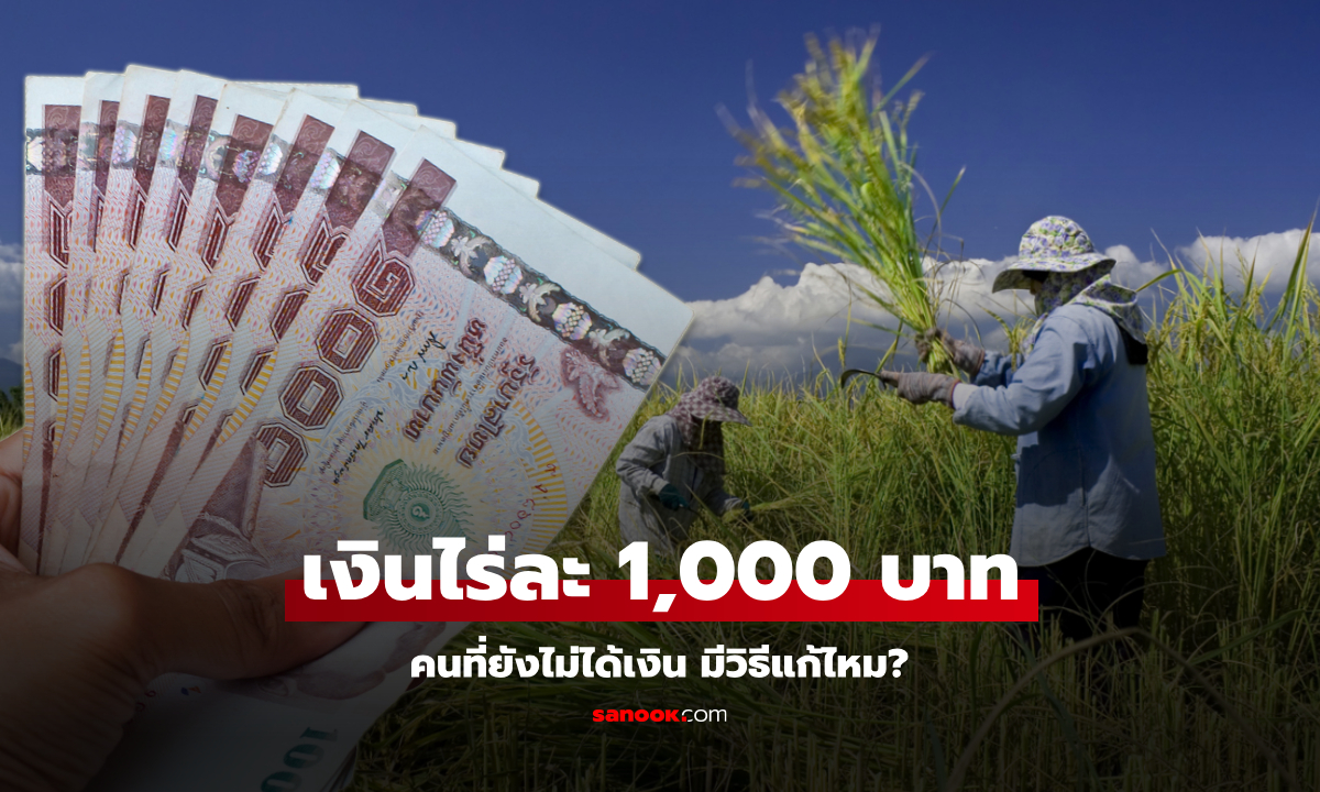 เงินไร่ละ 1,000 บาท เหลืออีก 3.1 พันคนยังไม่ได้เงิน ต้องทำอย่างไร