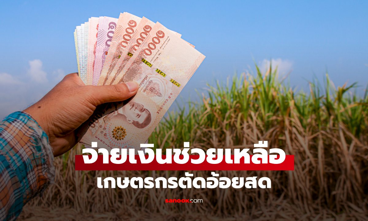 ครม. เคาะงบ 5.3 พันล้าน "ธ.ก.ส.-สอน." จ่ายเงินเกษตรกรตัดอ้อยสดลด PM 2.5