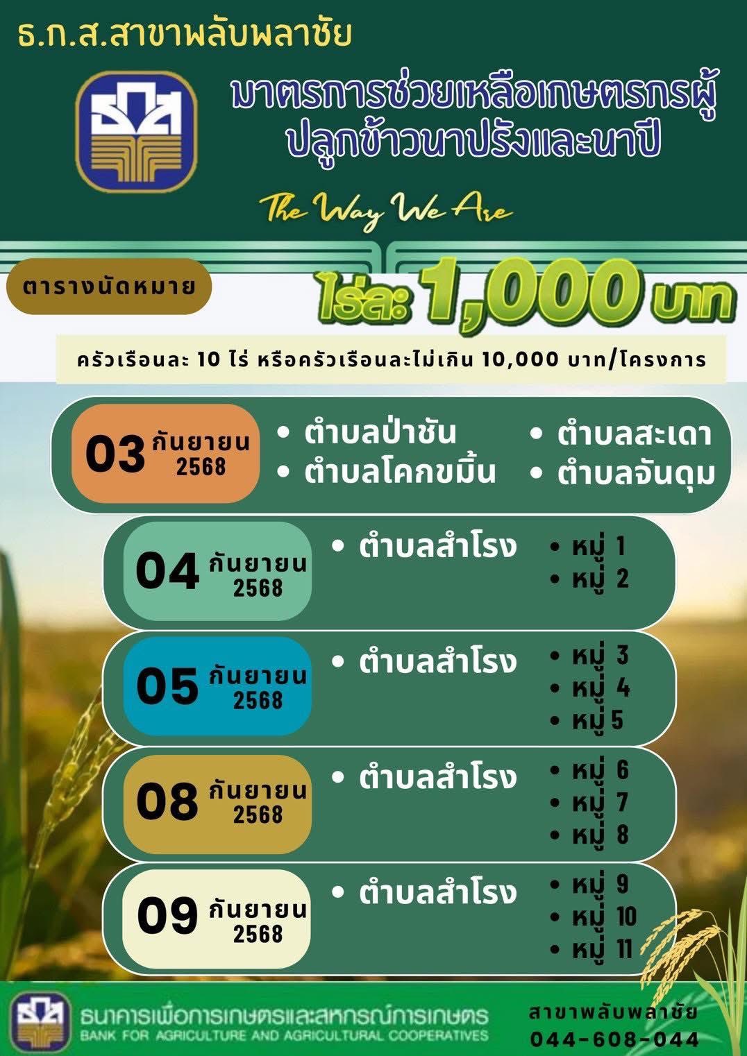 ตารางโอนเงิน ธ.ก.ส.สาขาพลับพลาชัย (ผู้ปลูกข้าวนาปรัง-นาปี)