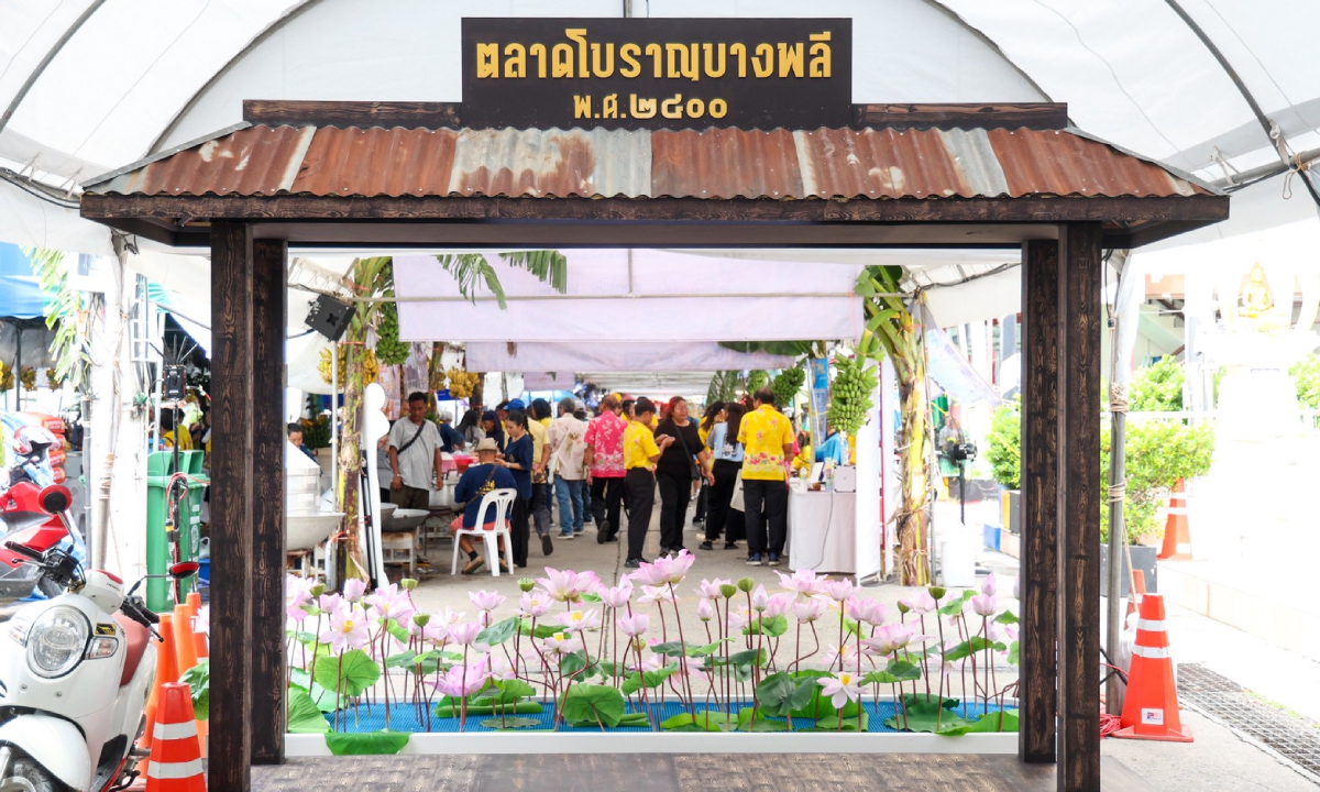 new-thumbnail1200x720-v2(52)