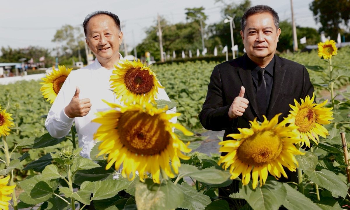 ซีพีแรม ชวนเช็กอินทุ่งทานตะวัน 5 ไร่ ใกล้กรุงเทพฯ เพียง 45 นาที กับ “ทานตะวันบานสะพรั่งทั่วระแหง ครั้งที่ 6”