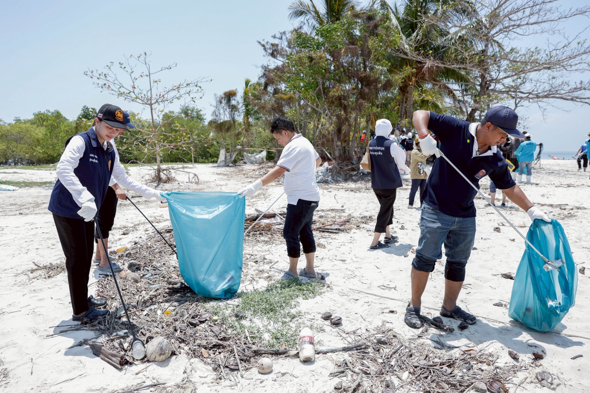 fc3e5141-3b64-4688-ad5a-44905