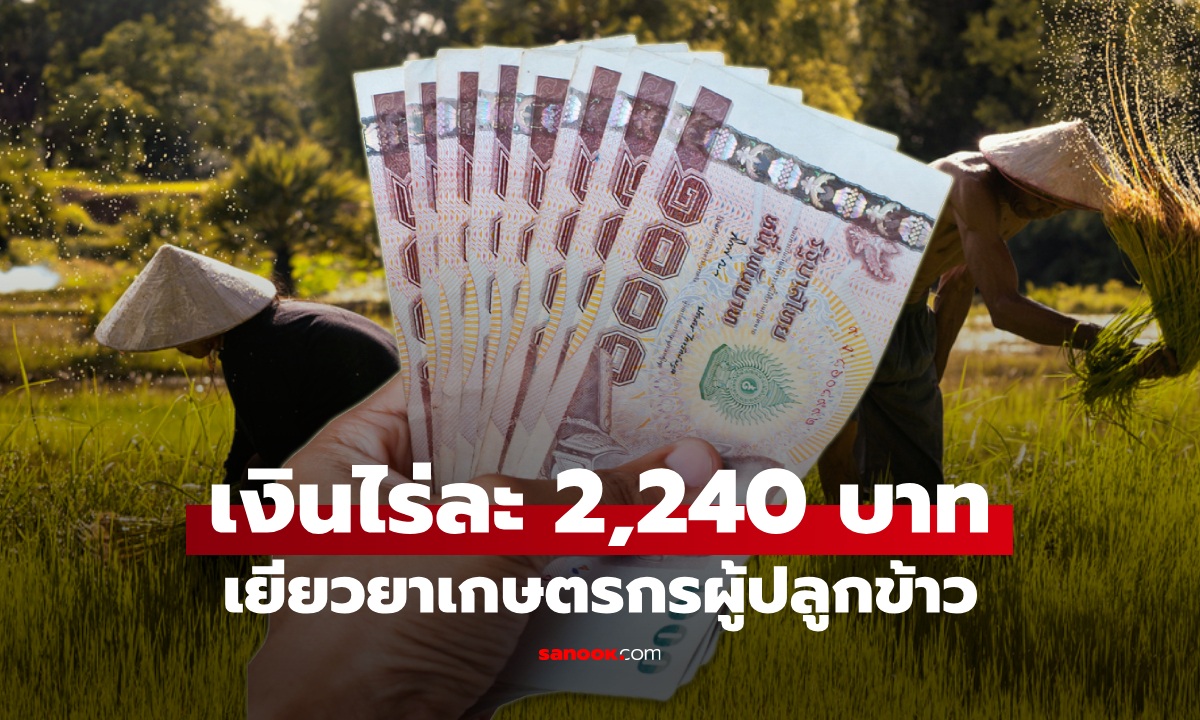 ภาพวิธีรับเงินเยียวยาเกษตรกรไร่ละ 2,240 บาท เช็กเงื่อนไขได้ที่นี่