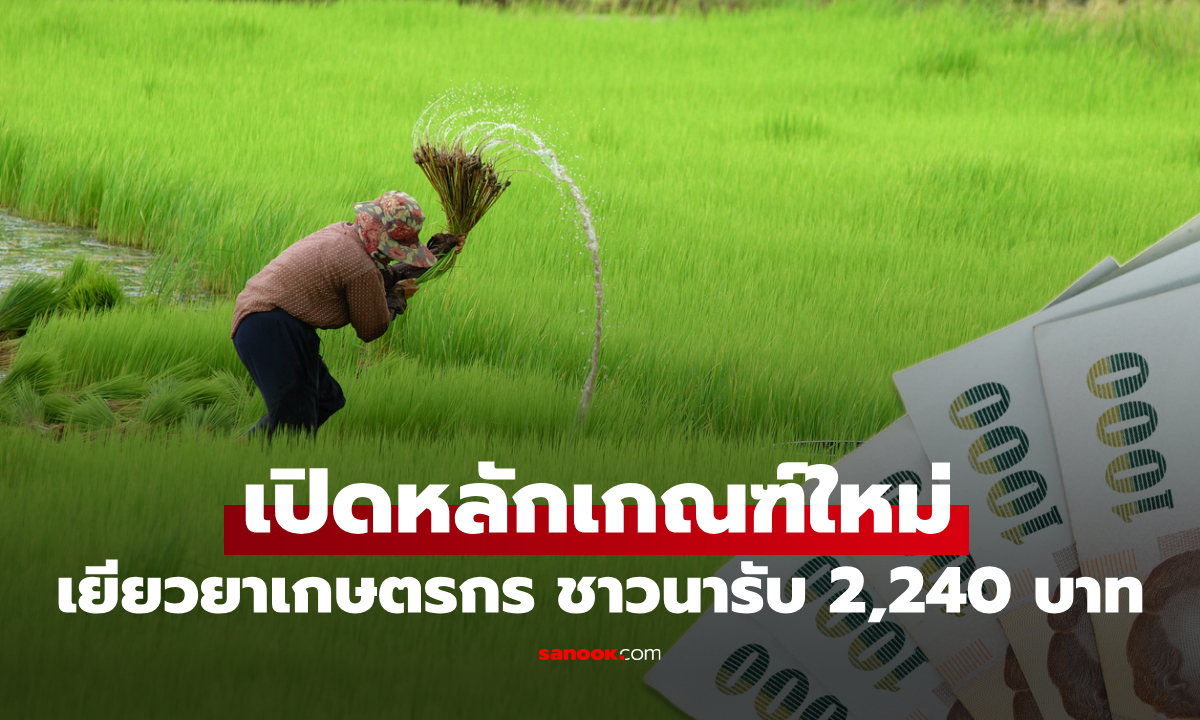 เงินเยียวยาเกษตรกร ชาวนารับไร่ละ 2,240 บาท เช็กเงื่อนไขล่าสุดที่นี่