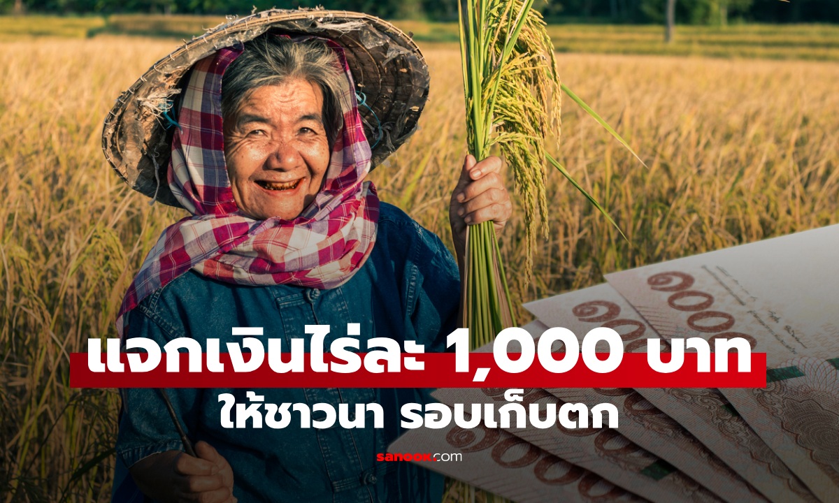 ครม. เคาะแจกเงินชาวนาไร่ละ 1,000 บาท รอบเก็บตก