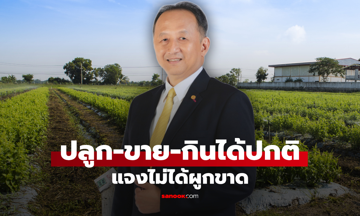 ซีพีแรมแจงปลูก-กิน-ขาย ได้ปกติ จดคุ้มครองกะเพรา 4 พันธุ์ใหม่