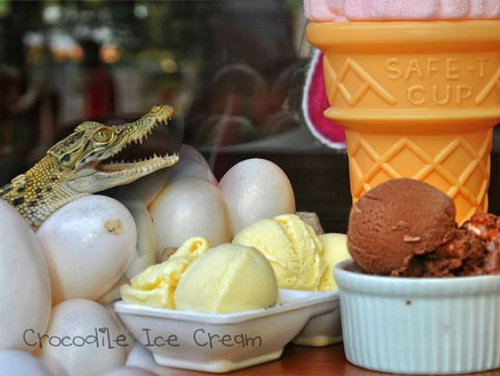 เมนูพึลึก "ไอศกรีมไข่จระเข้" บูมในฟิลิปปินส์