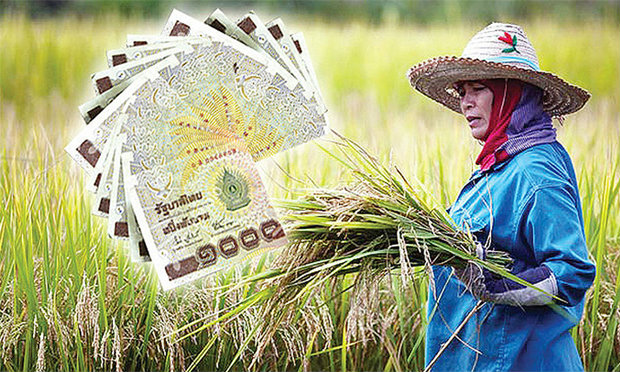 ธ.ก.ส.เร่งเดินหน้าแก้หนี้เกษตรกร เยียวยาลูกค้ากว่า 8 แสนราย วงเงิน 116,000 ล้านบาท
