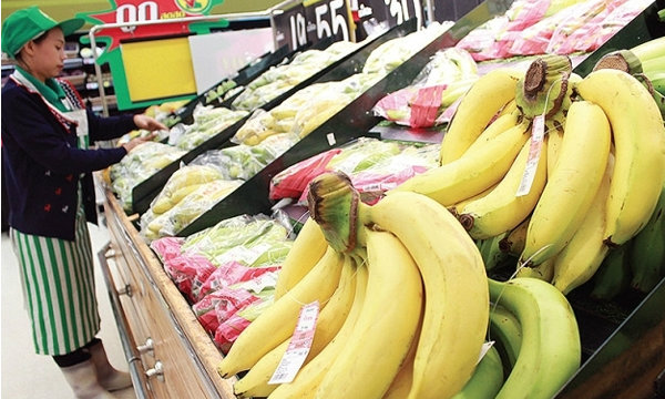 บุกดงกล้วยหอมทอง...พันล้าน "Land of Hom Banana"
