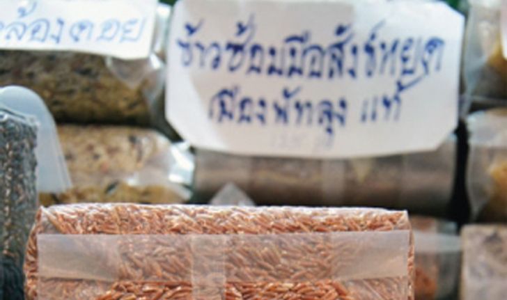 "ข้าวสังข์หยด"บูม! สิงคโปร์รับซื้อตันละ2หมื่น