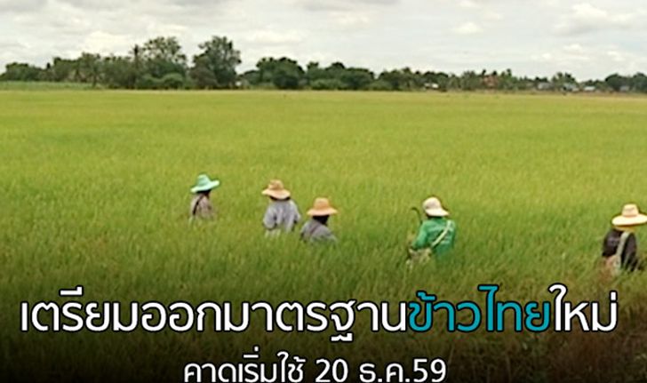 เตรียมออกมาตรฐานข้าวไทยใหม่ คาดเริ่มใช้ 20 ธ.ค.59