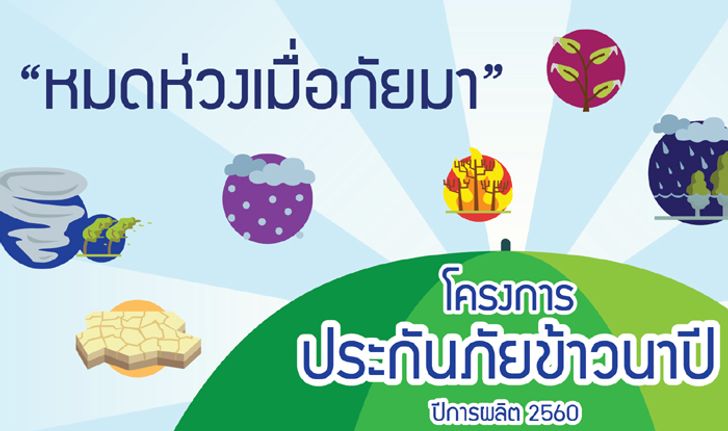 ธ.ก.ส. เดินหน้าประกันภัยข้าวนาปี 7 ประเภท ตั้งเป้า 30 ล้านไร่