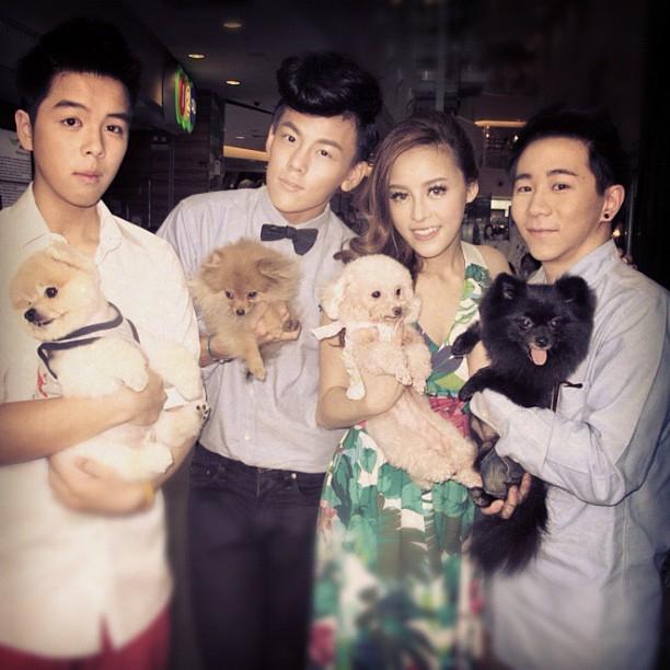 แพรี่พาย