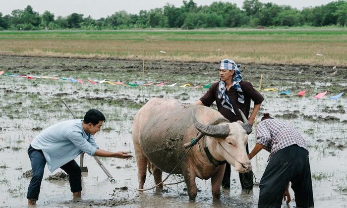 เขยผู้ใหญ่ สะใภ้กำนัน เรื่องย่อ ละครช่อง7