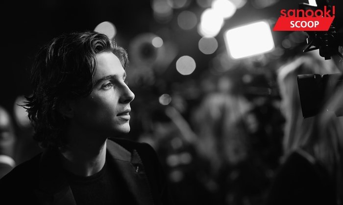 จับตามอง Timothée Chalamet ดาวรุ่งดวงใหม่ที่อาจเฉิดฉายบนเวทีออสการ์