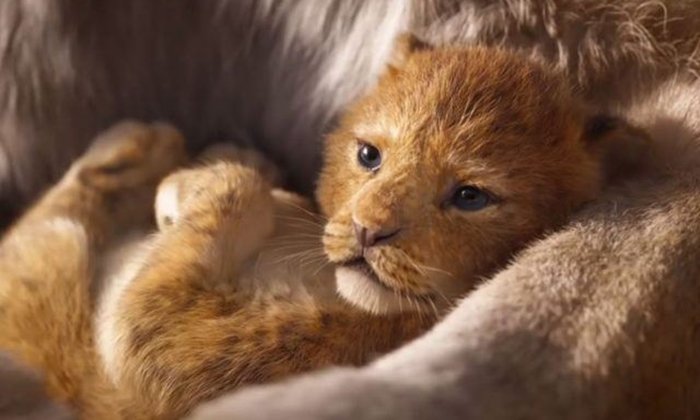ตัวอย่างแรก “The Lion King” ทุบสถิติมียอดเข้าชมภายใน 24 ชั่วโมงสูงที่สุดของดิสนีย์!