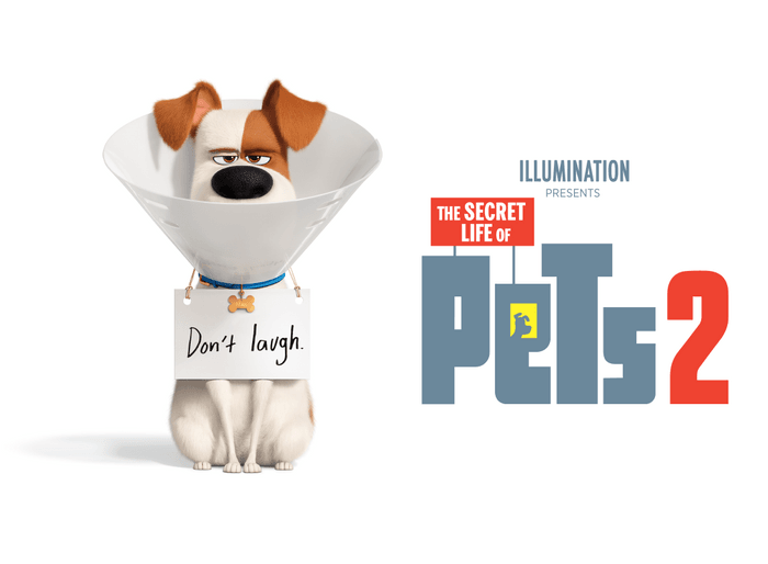 รีวิว The Secret Life of Pets 2 พี่เลี้ยง-ผู้ปกครอง-ฮีโร่