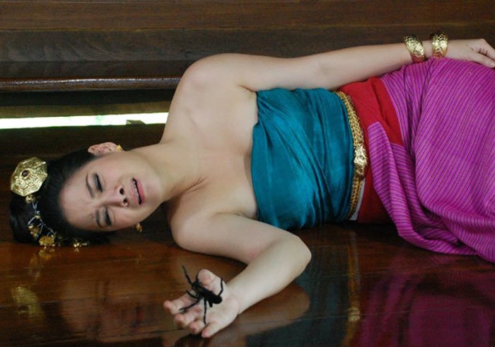 บี โหด!สั่งกำจัด พิม ใช้แมงมุมกัดให้เป็นอัมพาต