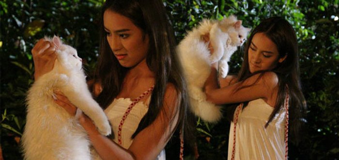 เปรี้ยว เลือดเย็นฆ่ารัดคอแมวตายคาที ใน คมพยาบาท