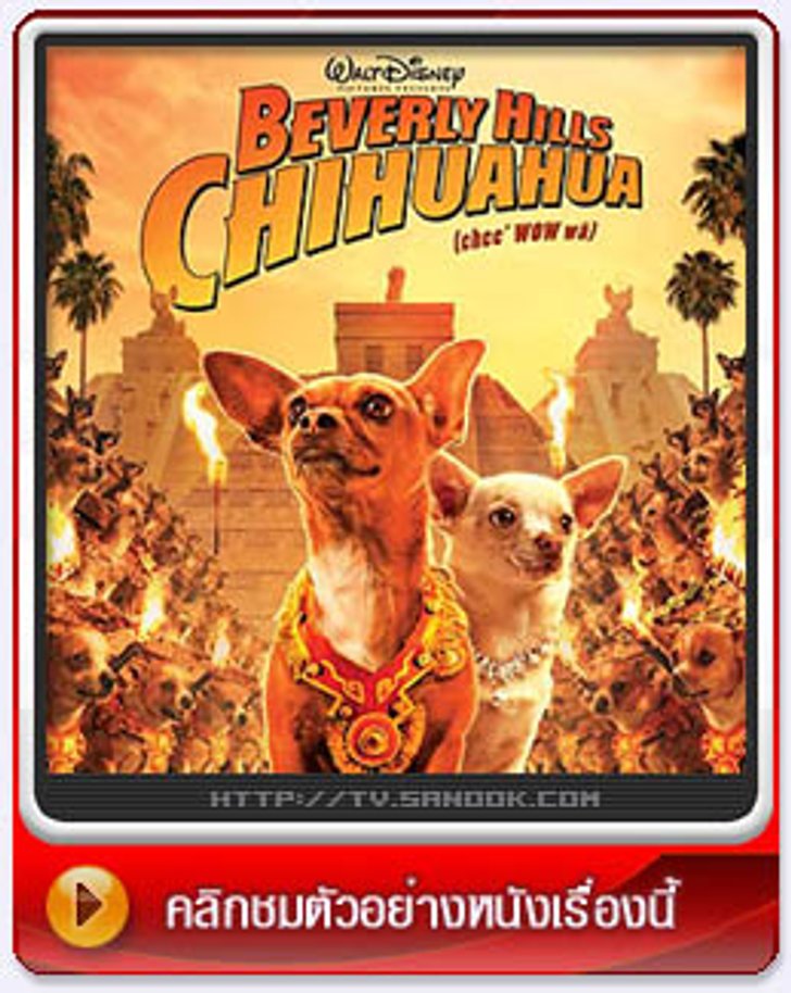 Beverly Hills Chihuahua