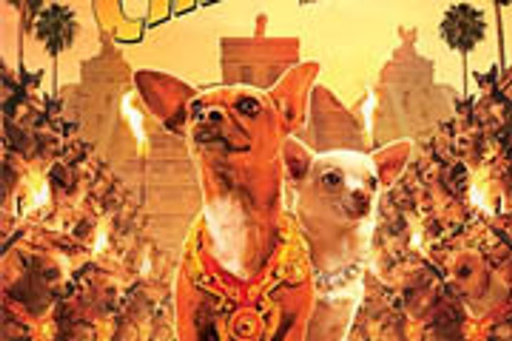 Beverly Hills Chihuahua