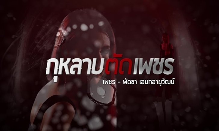 กุหลาบตัดเพชร เรื่องย่อ ละคร ช่อง 3