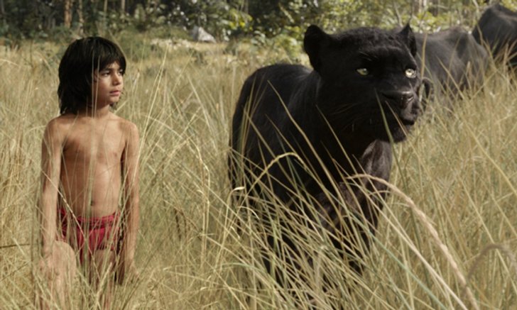 วิจารณ์หนัง The Jungle Book การปัดฝุ่น “ดอกไม้สีแดง”