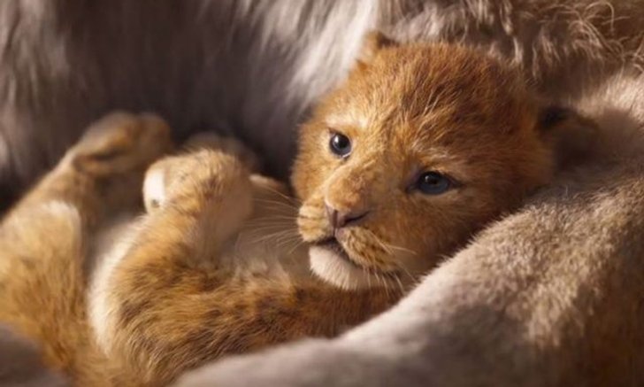 ตัวอย่างแรก “The Lion King” ทุบสถิติมียอดเข้าชมภายใน 24 ชั่วโมงสูงที่สุดของดิสนีย์!