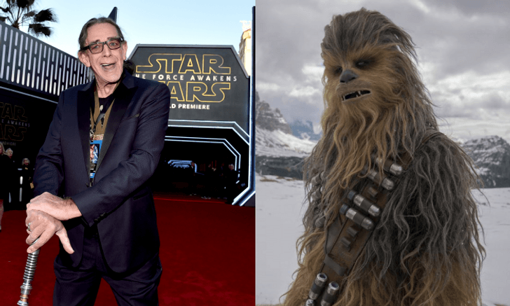 สิ้นตำนาน ชิวแบคก้า แห่ง Star Wars “ปีเตอร์ เมย์ฮิว” เสียชีวิตแล้วด้วยวัย 74 ปี