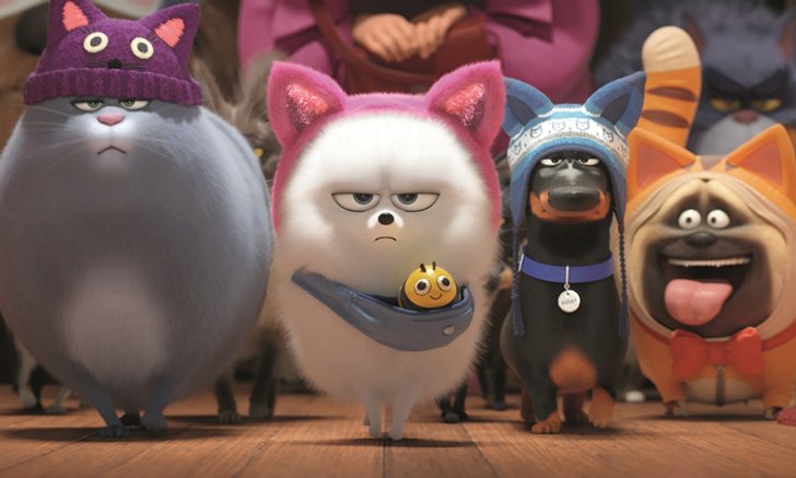 แก๊งขนฟูตัวป่วนกลับมาแล้ว! The Secret Life of Pets 2 เรื่องลับแก๊งขนฟู 2