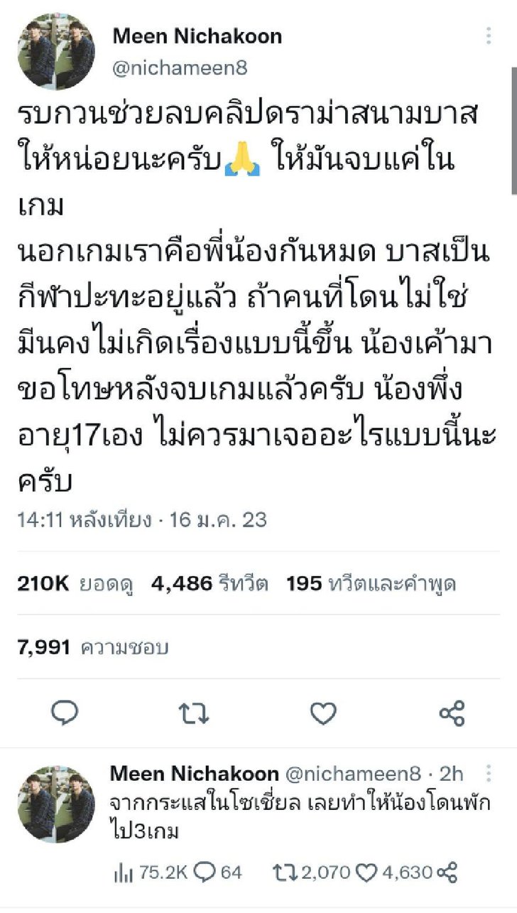 มีน นิชคุณ