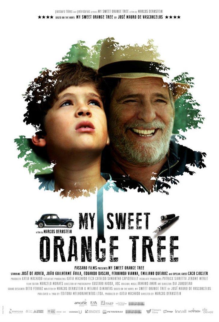 my-sweet-orange-tree