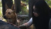 น้องหมาที่แสดงในเรื่อง Prey นั้นมีชื่อจริงๆว่า Coco และน้องก็ไม่ใช่สุนัขที่ถูกฝึกมาเพื่อแสดงหนัง