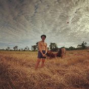 พีทพานามา