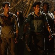 มินโฮ MAZE RUNNER 