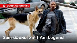 เจ้าแซม หมาจาก I Am Legend ในวันที่ตัวจริงมันแก่แล้ว โดย ตั๋วร้อน ป๊อปคอร์นชีส