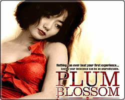 PLUM  BLOSSOM