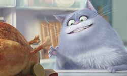 เตรียมพบกับความน่ารักของเหล่าสัตว์เลี้ยงแสนซนใน The Secret Life Of Pets เรื่องลับแก๊งขนฟู