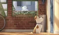 พบกับความน่ารักของเหล่าสัตว์เลี้ยงแสนซนใน The Secret Life Of Pets สิงหาคม ปีหน้า