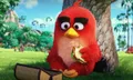 มาแล้ว! ตัวอย่างแรกของเจ้านกขี้โมโห The Angry Birds Movie