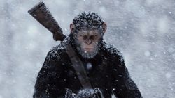 หลากเรื่องควรรู้ก่อนดู War For The Planet Of The Apes