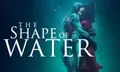 6 เหตุผลที่ THE SHAPE OF WATER จะเข้าทางหนังยอดเยี่ยมบนเวทีออสการ์