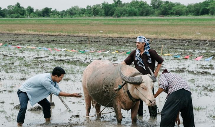 เขยผู้ใหญ่  สะใภ้กำนัน เรื่องย่อ ละครช่อง7