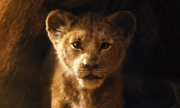 ซิมบ้ามาแล้ว! ดิสนีย์ปล่อยตัวอย่าง “The Lion King” รีเมกในรูปแบบไลฟ์แอ็กชั่นคนแสดง