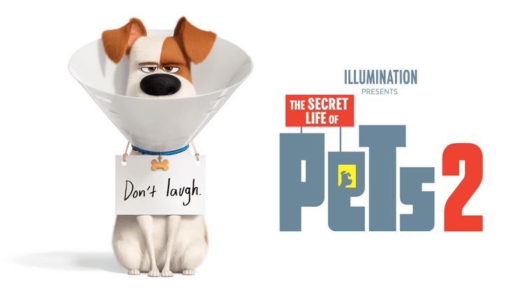 รีวิว The Secret Life of Pets 2 พี่เลี้ยง-ผู้ปกครอง-ฮีโร่