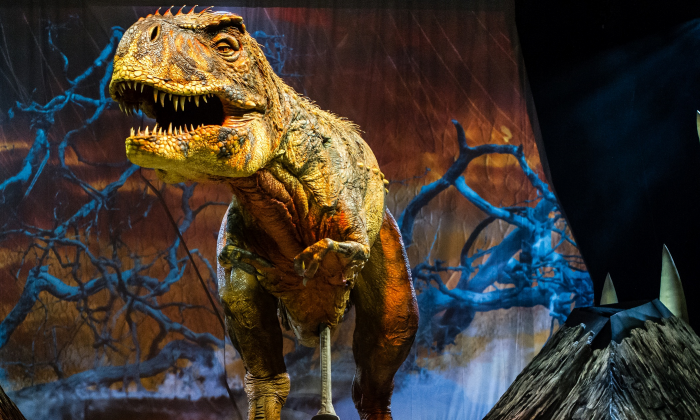“วอล์คกิ้ง วิธ ไดโนซอร์ส-ดิ อารีน่า สเป็คแท็คคูลา” เมื่อไดโนเสาร์จะกลับมาครองพื้นพิภพ!